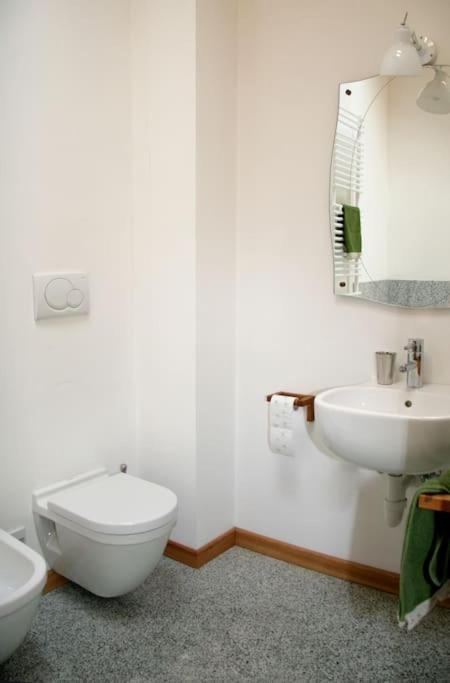 Lovely Apt In Pinzolo Val Rendena 7 エクステリア 写真
